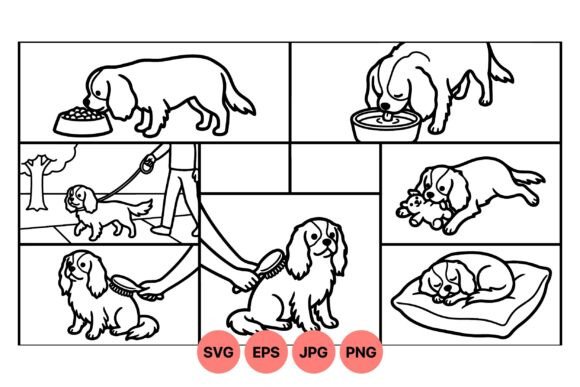 Cute Cavalier Dog Life Scenes Review